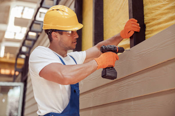 Best Custom Trim and Detailing for Siding  in Newburgh Heights, OH